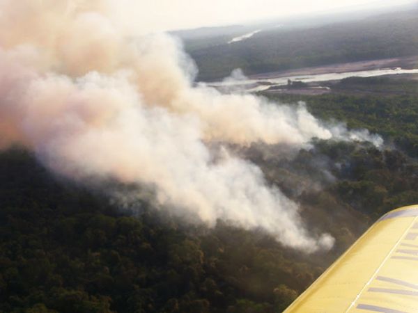 http://www.jujuyaldia.com.ar/wp-content/uploads/2011/11/incendio-forestal-1.jpg