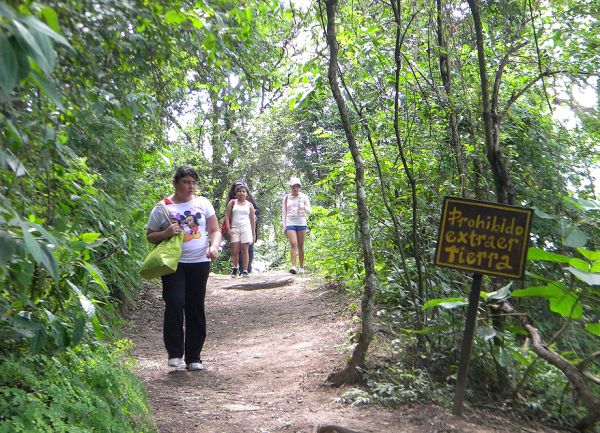 Parque Botánico Municipal: promueven las “caminatas” como atractivo turístico de la ciudad