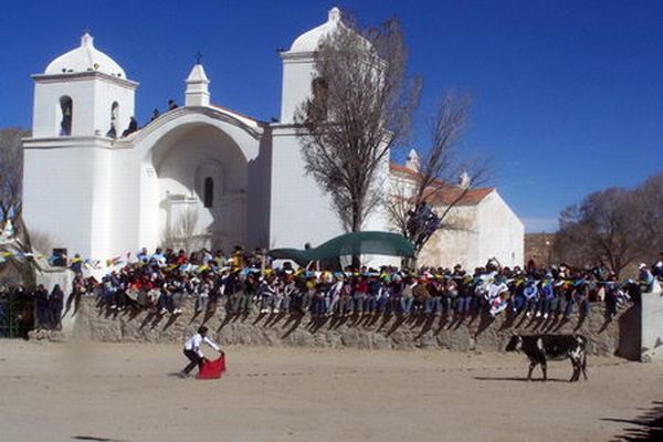 Jujuy: Casabindo honrará a la Virgen de la Asunción con el tradicional toreo de la vincha