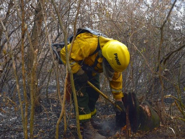 Ayudados por las condiciones climatológicas: logran contener los incendios forestales en Jujuy