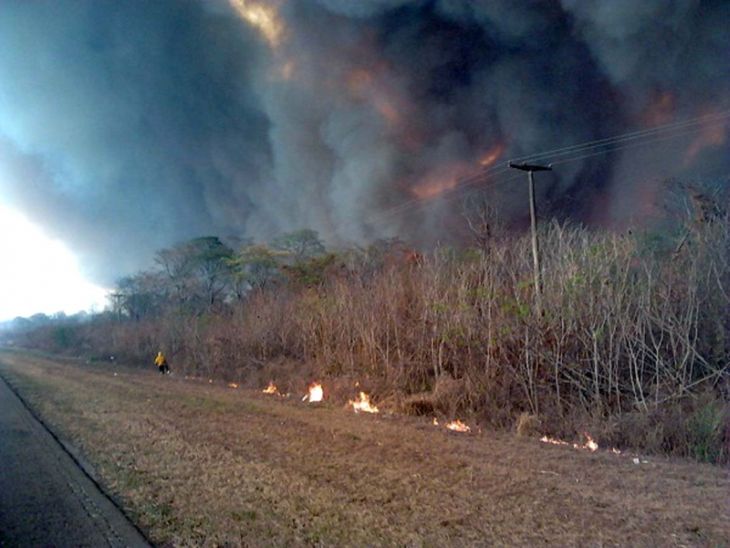 Incendios forestales en Jujuy. La selva en llamas: una semana en el infierno