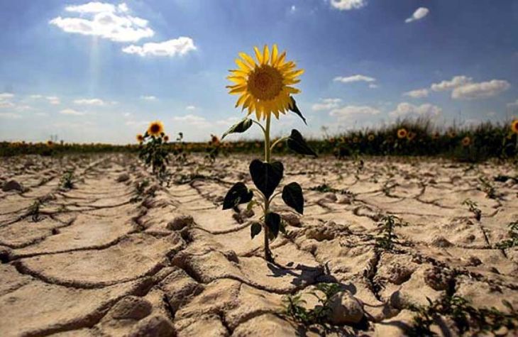Organizaciones alertan sobre los impactos del cambio climático que afectan a Argentina