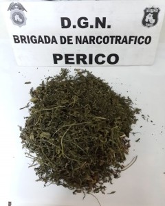 Narc Perico