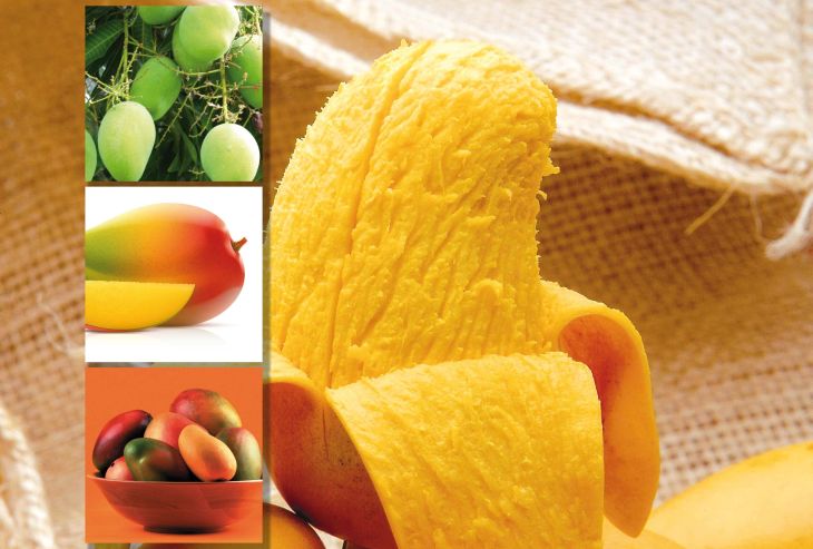 Resultado de imagen de mango y azucar