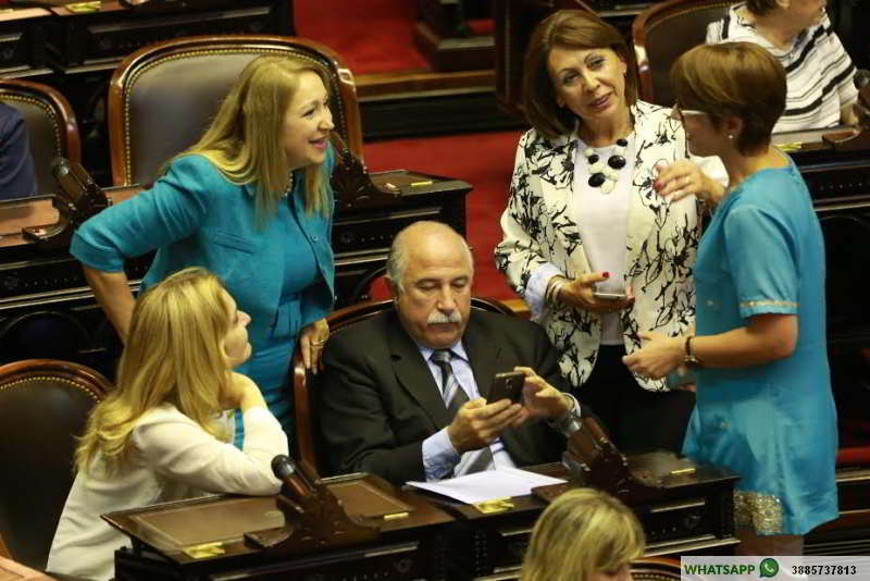 Asamblea legislativa: proclamo la formula Macri-Michetti