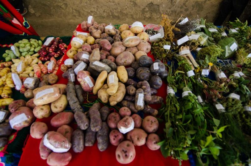 X Feria de los cultivos andinos: al rescate de los métodos ancestrales de cultivo