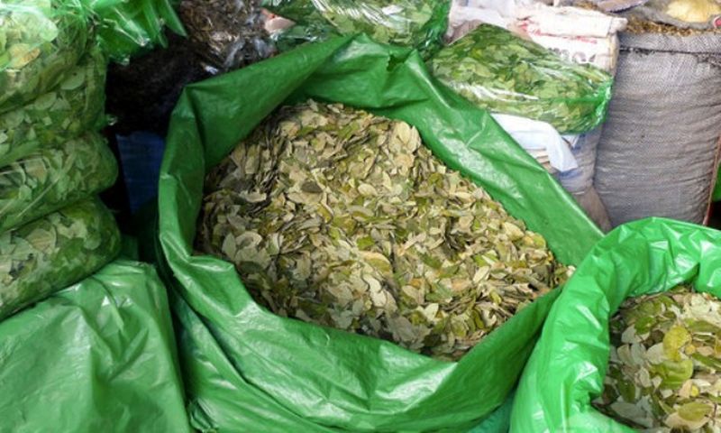 Secuestran 35 kilos de hojas de coca en Pumahuasi
