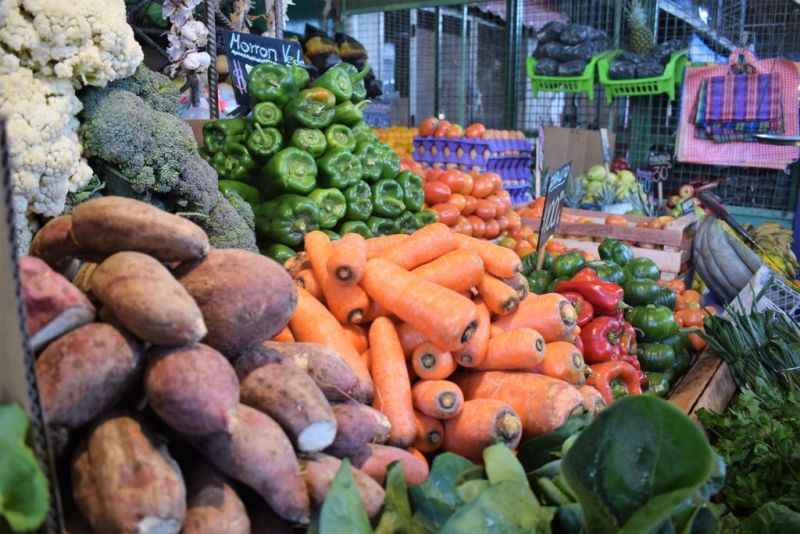 Jujuy presentará el nuevo Plan de Nutrición en Salud Pública