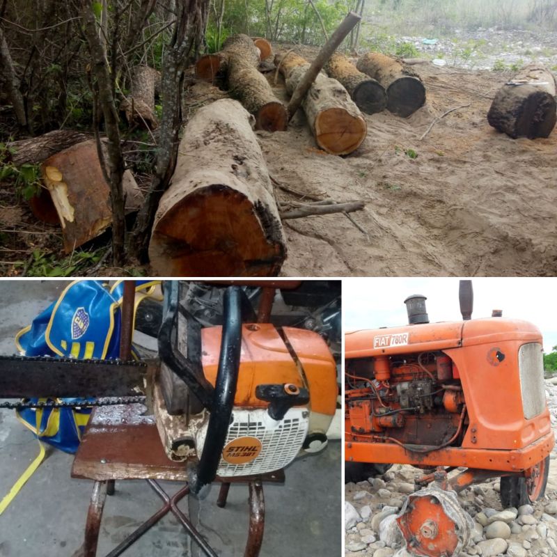 Tres detenidos al intentar robar troncos de una empresa en Libertador