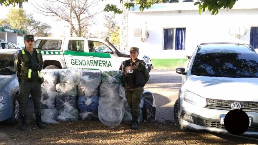 Jujuy, Operativo “Hojas Narco”: incautan 457 kilos de hojas de coca