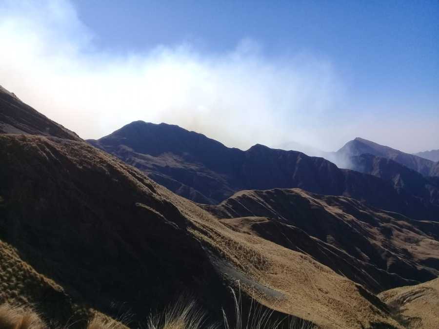 Brigadistas forestales contienen focos de incendio en los valles de altura en Jujuy