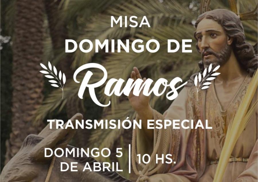 Transmisión online de la Misa de Domingo de Ramos