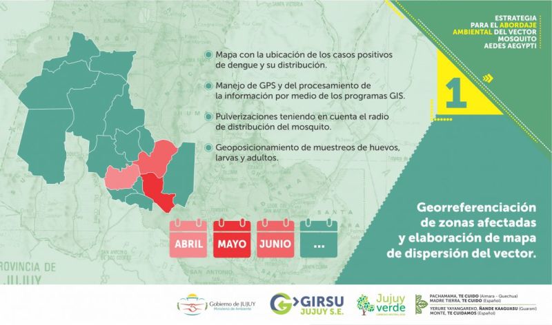 Estrategia para el abordaje ambiental del vector mosquito Aedes Aegypti en Jujuy
