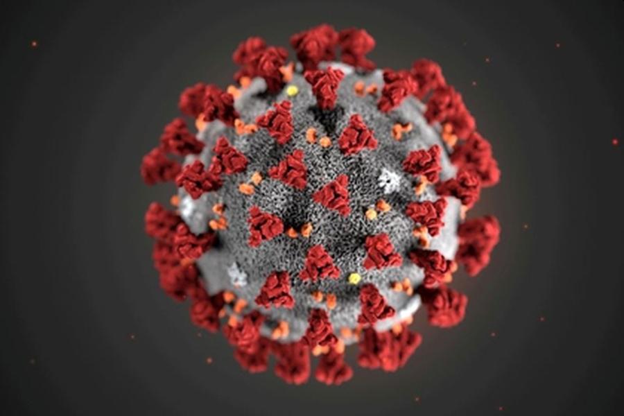 Coronavirus: Científicos platenses elaboran un dispositivo para eliminar el virus del ambiente