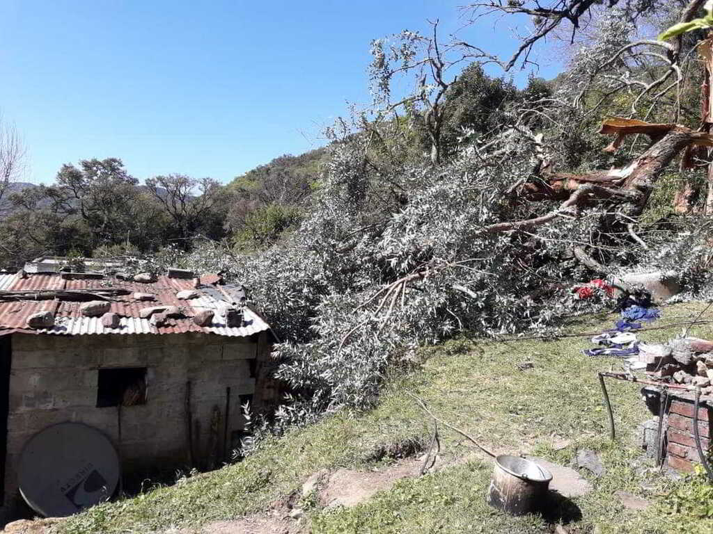 Jujuy: Consecuencias de los vientos fuertes