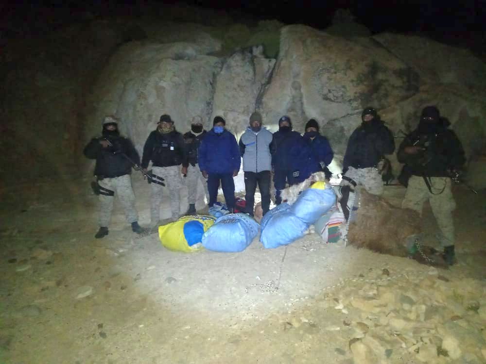 Jujuy: Detuvieron a cazador furtivo con 45 cueros de vicuña