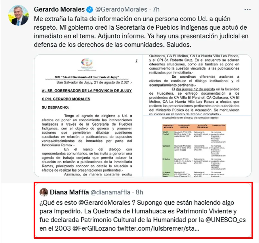 Por REMAX: Morales fue interpelado a través de twitter por Diana Maffia y recibió su respuesta