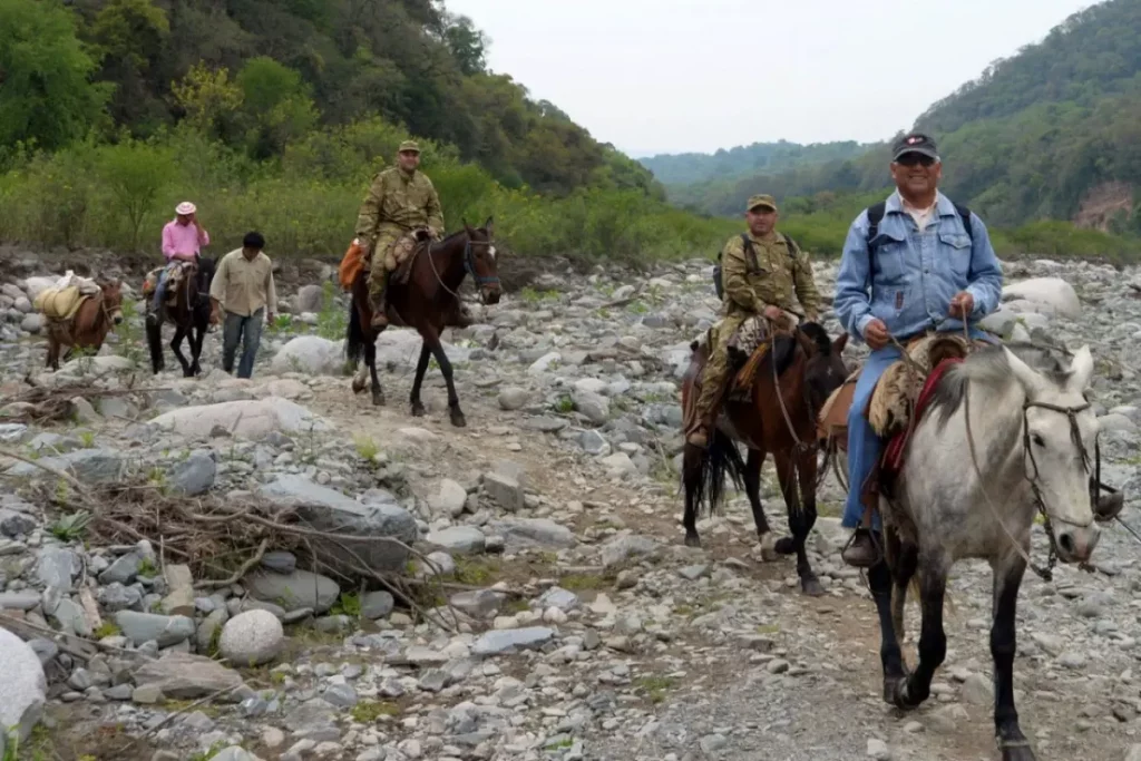 El Ejército se prepara para llevar urnas a lomo de mula a Molulo, a 3.500 metros de altitud en Jujuy