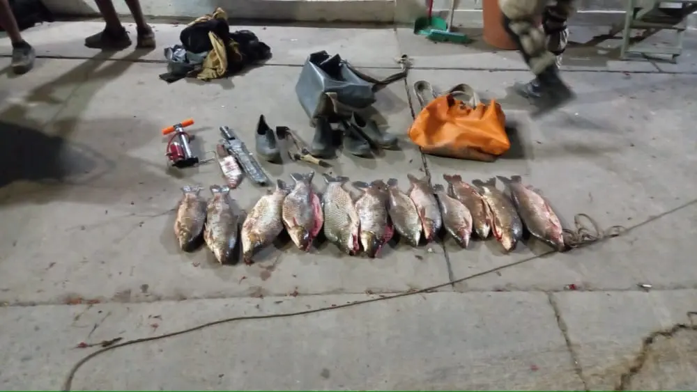 Secuestraron red y piezas de peces en Rodeito