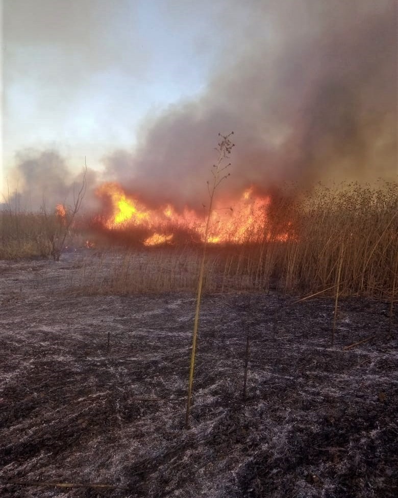 Jujuy registra un foco activo de incendios forestales