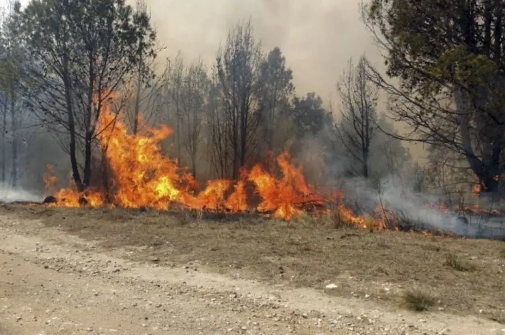 Alerta: solicitan circular con precaución por incendio de pastizales en Fraile Pintado