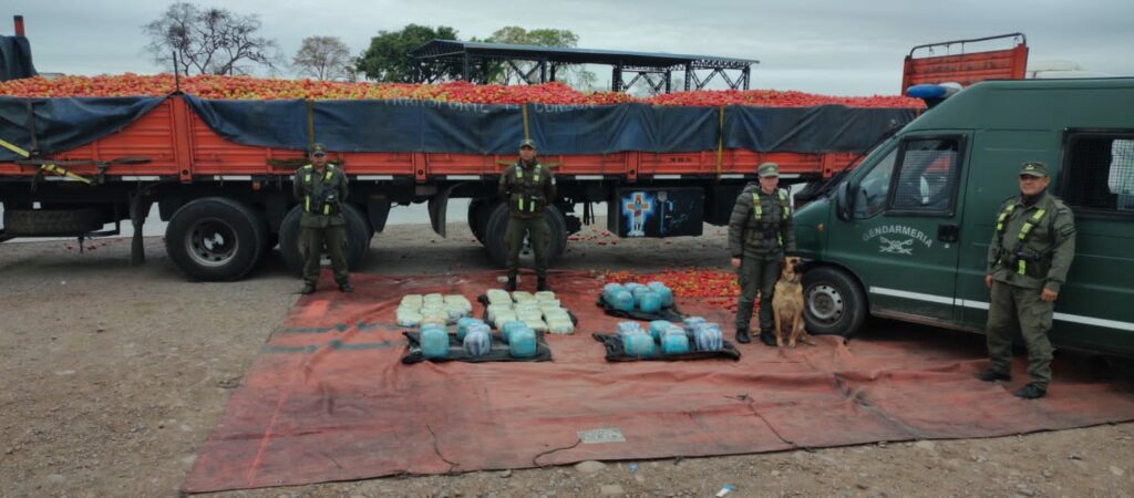 En Jujuy: ocultaba 92 kilos de marihuana entre cargamento de tomates