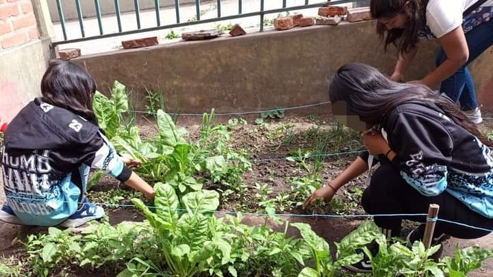 Nuevo módulo de huertas agroecológicas en la escuela «Humberto Agüero»