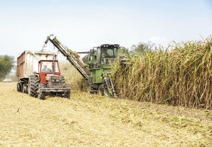 El sector azucarero en grave riesgo por dos iniciativas del proyecto de ley ómnibus